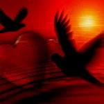 heart-81207_1280