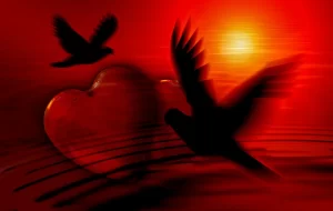 heart-81207_1280